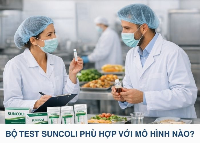 Bộ test Suncoli phù hợp với những mô hình nào
