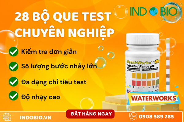 Bộ que test nhanh WaterWorks