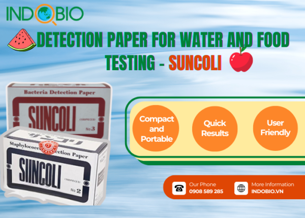 Suncoli Detection Paper