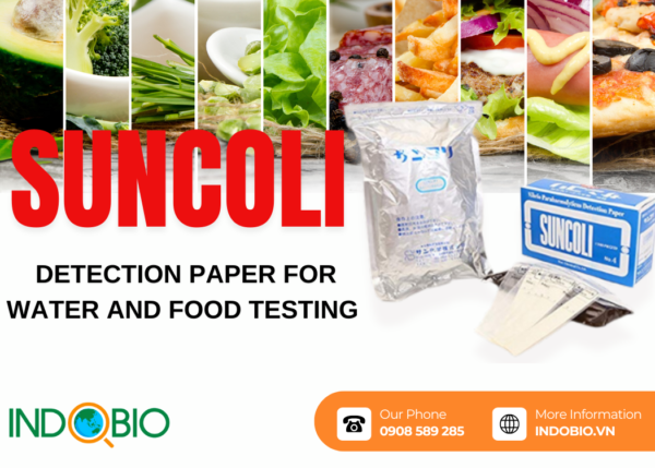 Suncoli Detection Paper