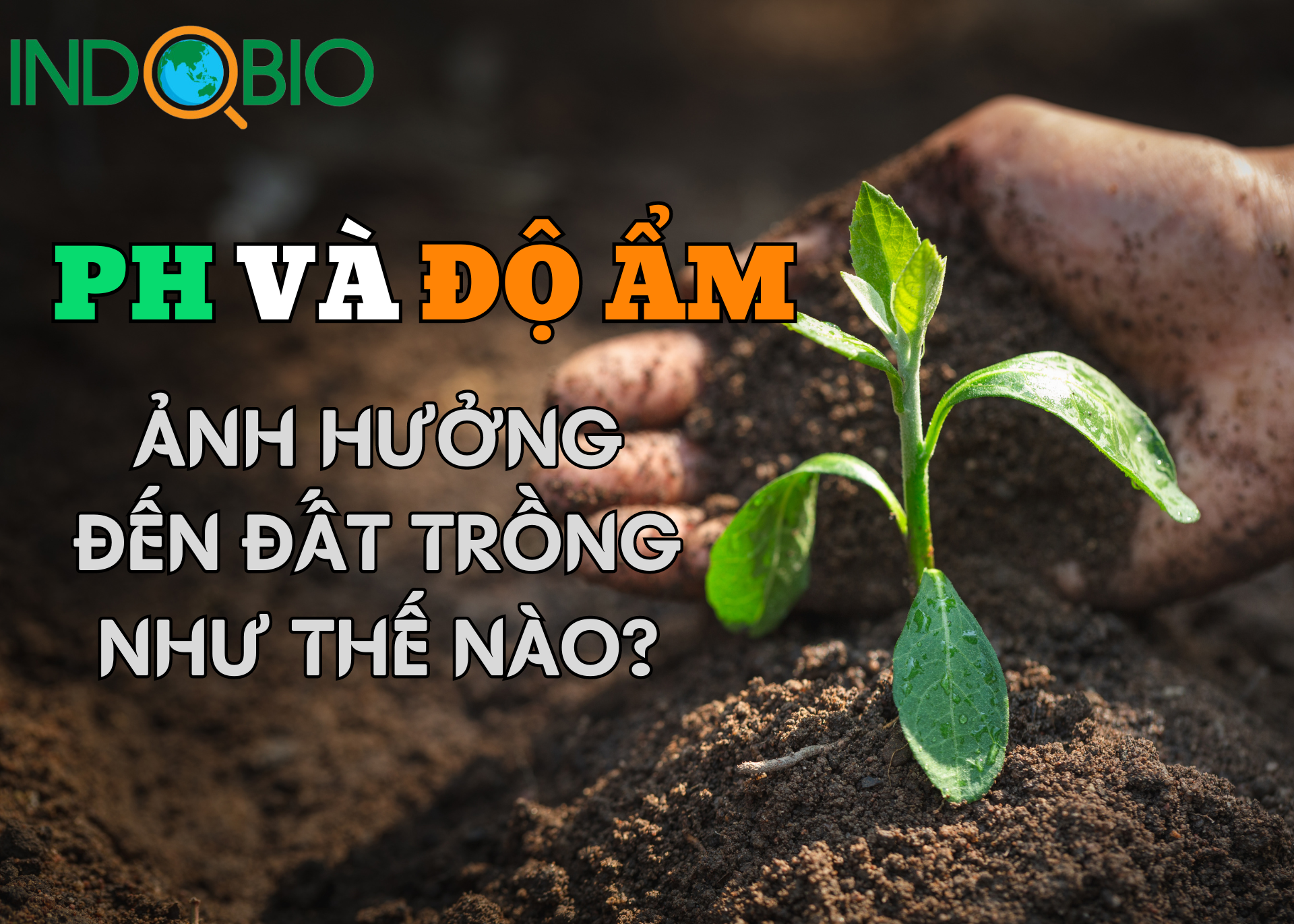 pH và độ ẩm ảnh hưởng đến đất trồng như thế nào?