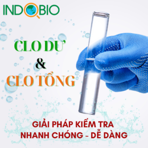 Clo dư và clo tổng