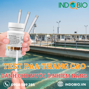 test paa thang cao