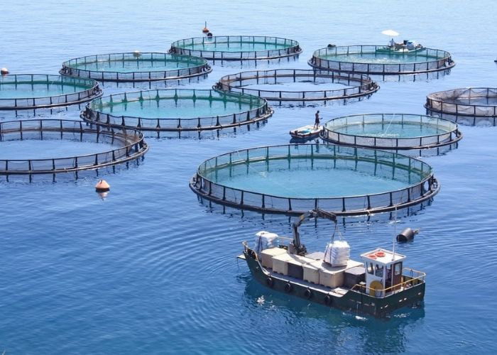 Nguồn phát sinh và đặc điểm nước thải chế biến thủy sản