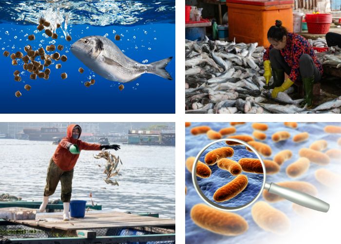 Thành phần cơ bản của nước thải chế biến thủy sản