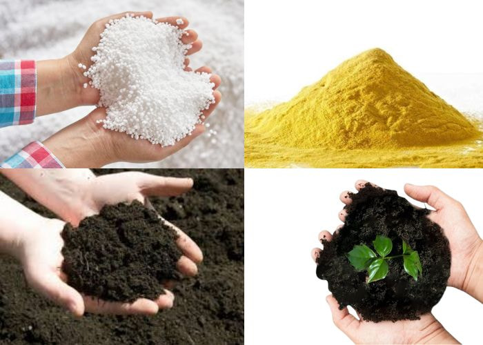 Cách làm giảm pH của đất