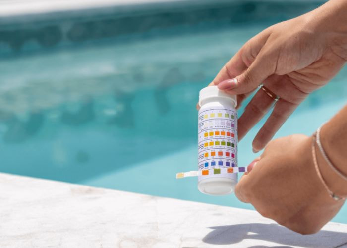 Que test / giấy đo