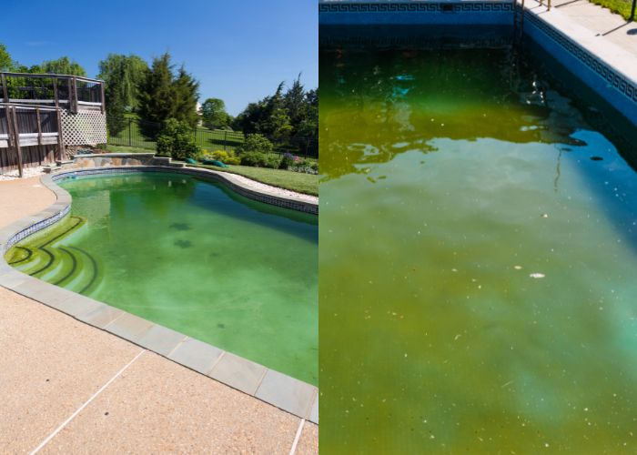 Vì sao nước hồ bơi nhanh đục, xanh rêu hoặc có mùi