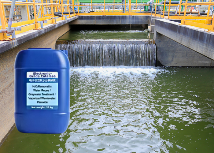 Kiểm soát Clo và Peroxit trong khử trùng nước thải công nghiệp