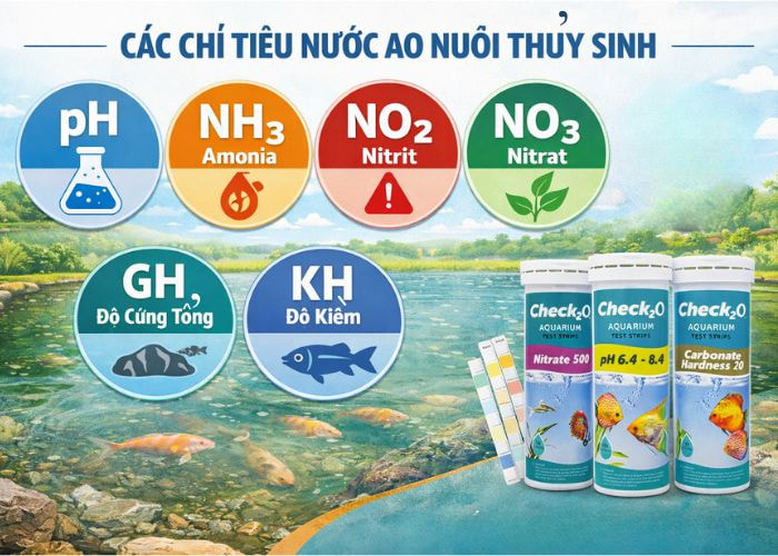 Những chỉ tiêu nước ao nuôi quan trọng cần theo dõi