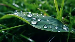 Độ ẩm không khí là gì?