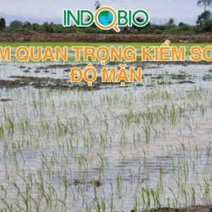 Vì sao cần đo độ mặn