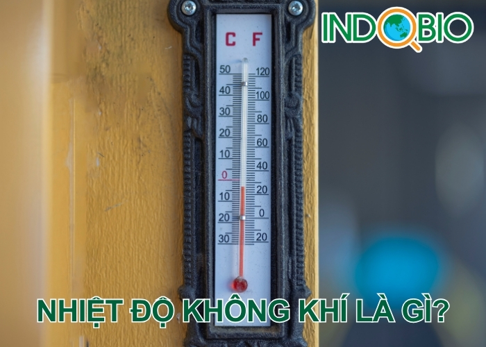 Nhiệt độ không khí là gì?