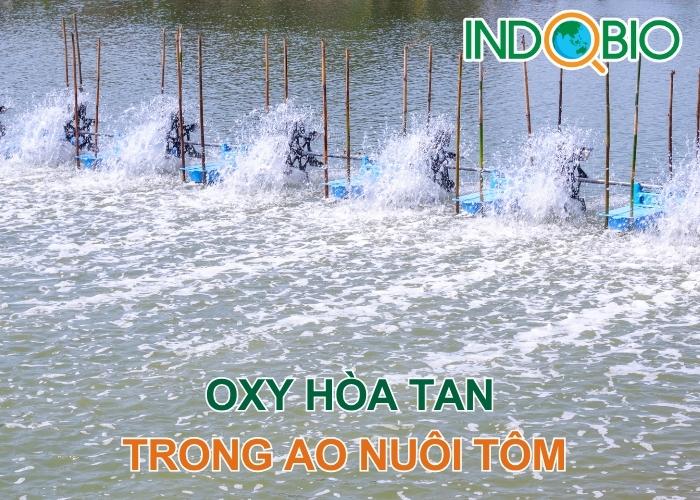 Oxy hòa tan (DO) trong quản lý chất lượng nước trong ao nuôi tôm